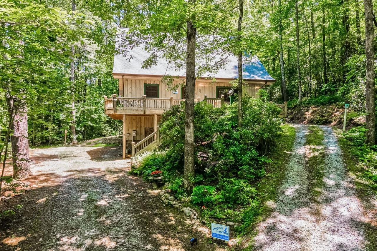 Osprey Landing Villa Clarkesville Екстериор снимка